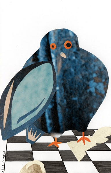 Collage, Pigeon et&nbsp;échecs