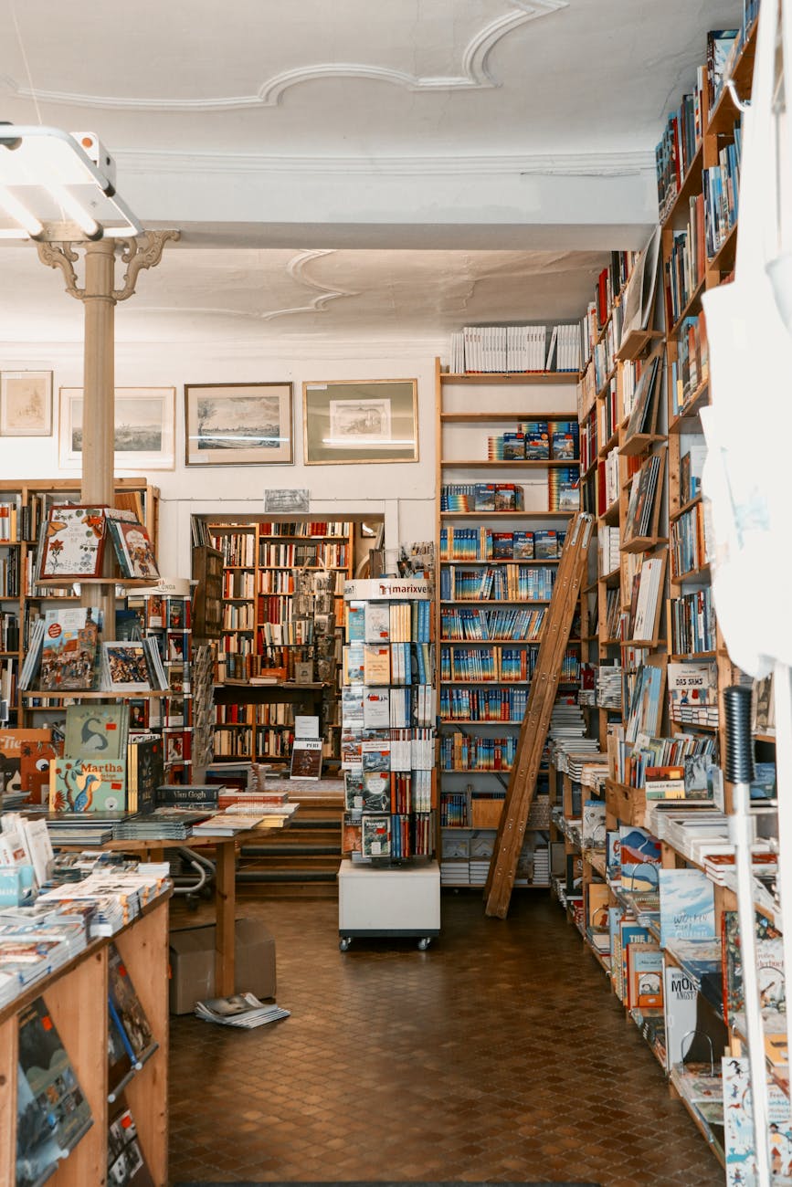 J&rsquo;ai lu, j&rsquo;ai vu, et écoutu. Et ça m&rsquo;a plu&nbsp;!!