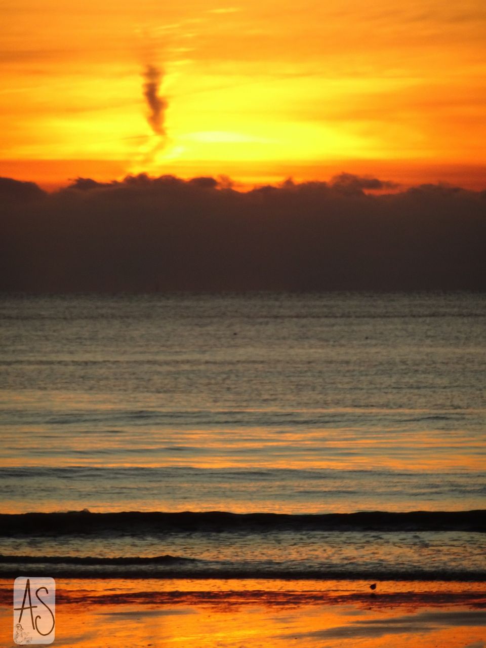 Un samedi soir sur la Terre