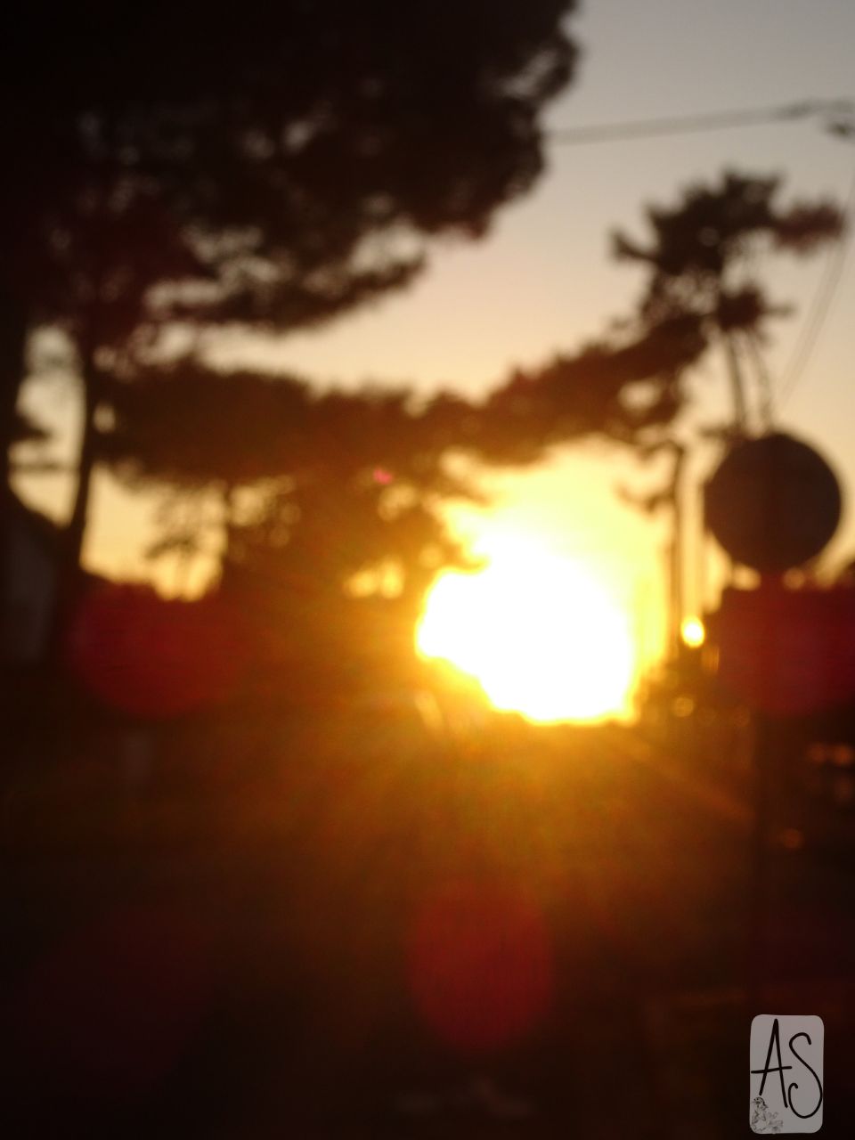 Un samedi soir sur la Terre II